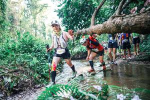 BIB: 
                            <button type="button" onclick="openModal(25461590)" class="btn btn-primary btn-sm float-right btn-popup" data-toggle="modal" data-target=".modal-high-quality">
                        <i class="fas fa-shopping-cart"></i> Add to Cart
                    </button>
                                            <button type="button" onclick="isThisMe(25461590, true)" class="btn btn-success btn-sm float-right btn-popup btn-isme hidden" data-toggle="tooltip" data-placement="bottom" title="นี่คือรูปของคุณใช่ไหม คลิกที่นี่เพื่อเอาเข้าอัลบั้ม">
                        <i class="fas fa-plus"></i> Add to album
                    </button>
                    <button type="button" onclick="isThisMe(25461590, false)" class="btn btn-warning btn-sm float-right btn-popup btn-isnotme hidden">
                        <i class="fas fa-ban"></i> Remove from album
                    </button>